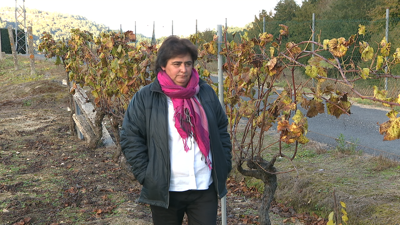 Xulia Bande é neta de arrieiro e leva 34 anos na viticultura.