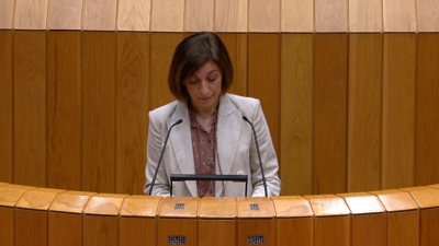 A conselleira de Medio Ambiente, Ángeles Vázquez, comparece no Parlamento