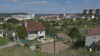Hortas e torres de vivendas en Ourense