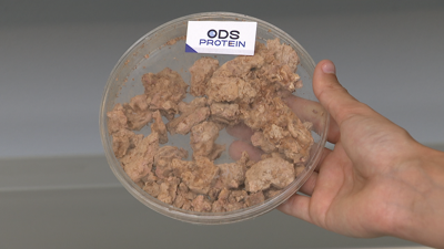Proteína con textura obtida da fermentación de fungos.