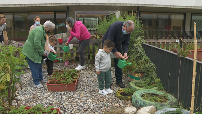 Nenos e maiores regan conxuntamente a horta do Centro Interxeracional