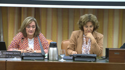 Cristina Herrero durante a súa comparecencia na Comisión de Orzamentos do Congreso dos Deputados