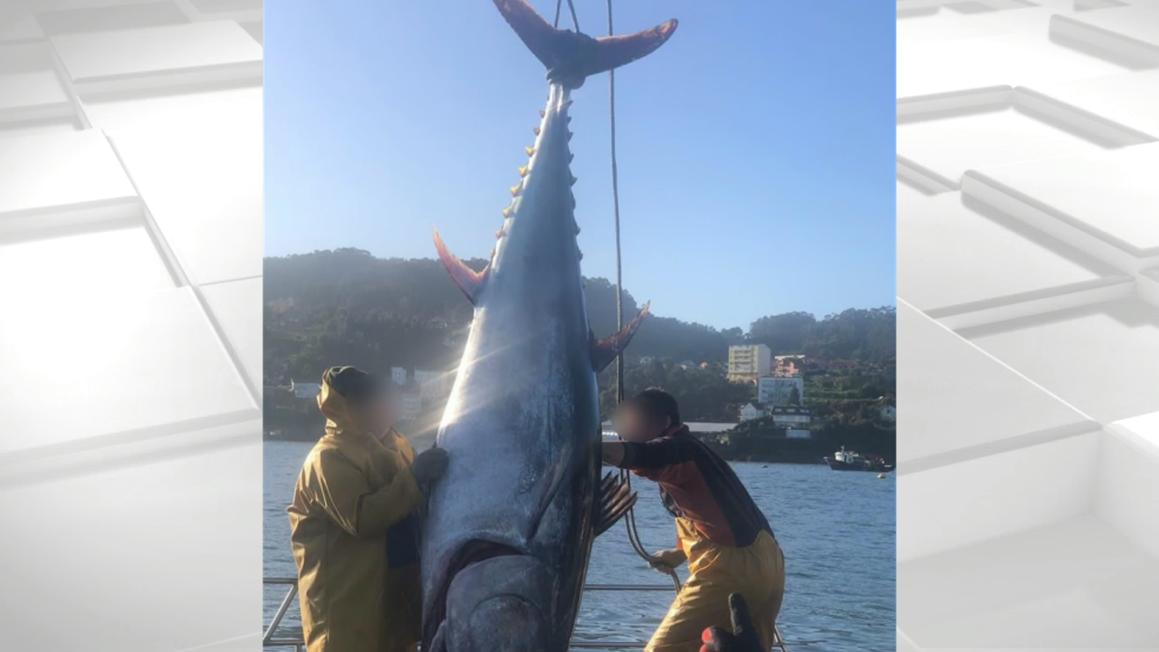 Os mariñeiros do bateeiro izan o atún de 300 quilos / Cedida