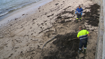 Operarios municipais limpan o chapapote na praia do Chazo