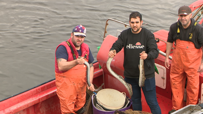 Unha das embarcacións capturou 3 lampreas no primeiro dia da campaña