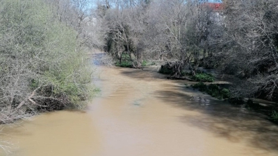 Imaxe do río Tambre ao seu paso por Sigüeiro (Cedida: Maricarmen Varela)