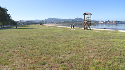 Imaxe da praia Compostela de Vilagarcía onde na zona de herba se asenta unha chea de abrollos