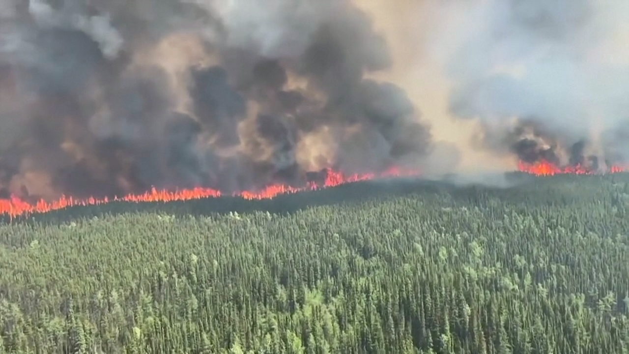 Os lumes xa consumiron no Canadá 3,8 millóns de hectáreas de bosque en 2023