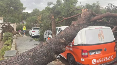 Incidencias en Calviá polos fortes refachos de vento e chuvia