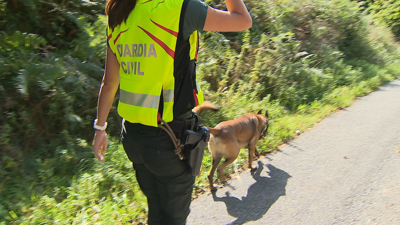 Os cans adestrados da Garda Civil rastrexan as zonas de difícil acceso