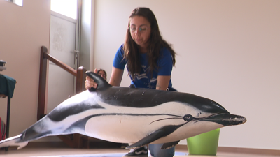 Simulacro do CEMMA para aprender a rescatar un golfiño