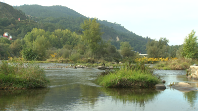 Treito do río Miño, en Ourense, onde tivo lugar o rescate