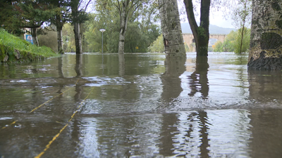 O nivel do río Miño en Ourense na última semana aumentou en dous metros