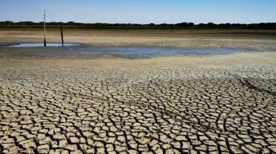A lagoa permanente máis grande de Doñana secou no verán de 2022