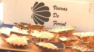 Produto da ría na Festa do Marisco de Ferrol