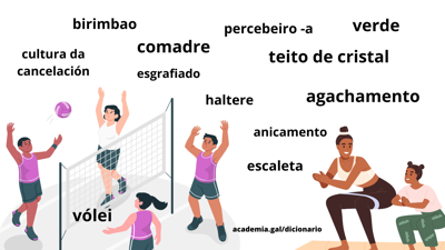 O dicionario da RAG incorpora novos termos e acepcións (Real Academia Galega)