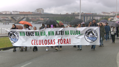Marcha entre Pontevedra e Marín contra Ence e o proxecto de Altri