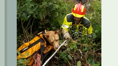 Imaxe do rescate da cadela atrapada na mediatarde deste mércores no Parque das Trece Rosas en Bastiagueiro, OleirosOleiros a iz