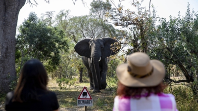 Un elefante achégase a dúas turistas no Parque Nacional Kruger, en Suráfrica (Europa Press)