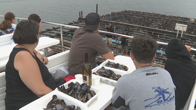 Turistas no barco dos mexillóns