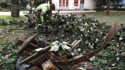 Retiran pólas no parque Rosalía de Castro de Lugo (EFE/ Eliseo Trigo)